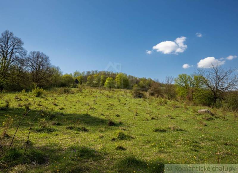 Vaša vlastná oáza na lazoch: Pozemok s dušou a krásnym výhľadom - Zelený svah s rozptýlenými stromami a modrou oblohou v okolí Krupiny, ideálny pre Pozemky - bývanie.
