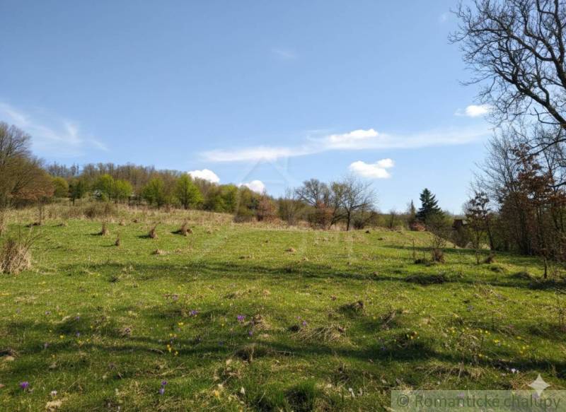 Vaša vlastná oáza na lazoch: Pozemok s dušou a krásnym výhľadom - Lúka v Krupine pre Pozemky - bývanie, s kvetmi a udržiavanou zeleňou.