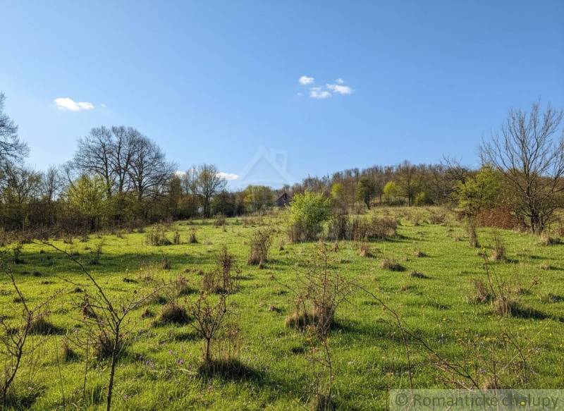 Vaša vlastná oáza na lazoch: Pozemok s dušou a krásnym výhľadom - Svieža lúka s riedkymi stromami na pozemkoch pre bývanie v Krupine.