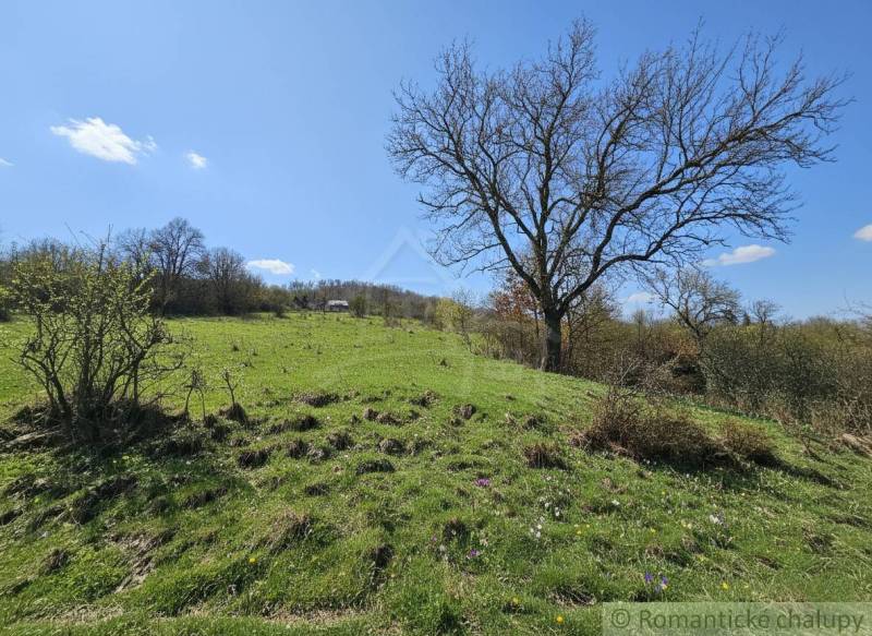 Vaša vlastná oáza na lazoch: Pozemok s dušou a krásnym výhľadom - Zeleň s kvetmi a stromami na pozemkoch pre bývanie v okolí Krupiny.