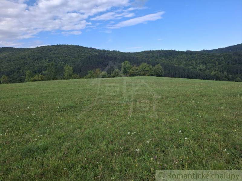 Veľký pozemok v srdci prírody pri Hornom Tisovníku - Zelená lúka obklopená lesmi v Hornom Tisovníku, ideálna pre pozemky - bývanie.