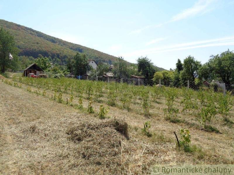 CENA DOHODOU Menší domček v príjemnom prostredí obce Šiatorská Bukovin - Kopcovitá krajina s viničom a rodinným domom v Šiatorskej Bukovinke.