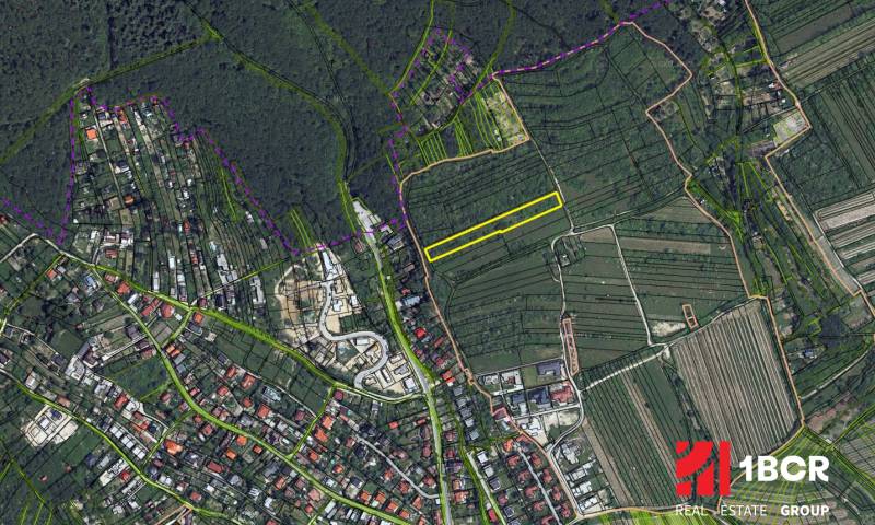 VINICA/DLHODOBÁ INVESTÍCIA, RAČA - FAJDLBERG - Letecký pohľad na vinice v Bratislave - Rači, konkrétne v oblasti ulice Fongová.