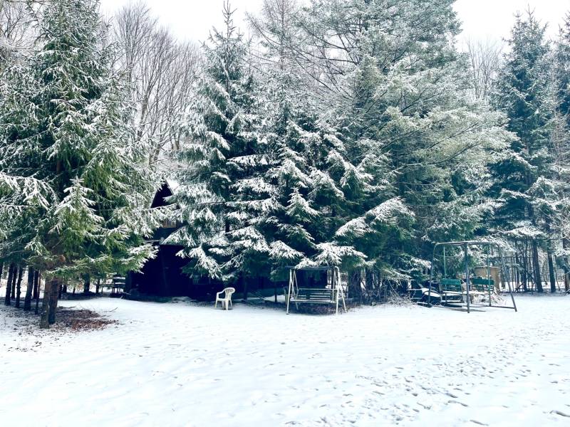 I Investičná príležitosť – Hotel v Modre - Zasnežené stromy a lavičky na Piesku v Modre obklopujú hotely a penzióny.