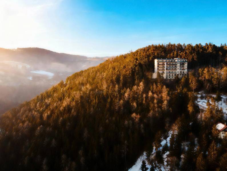 I Predaj bytu v Semmeringu, Rakúsko – výborná investícia - Les na kopci s budovou blízko Gläserstraße v Semmeringu.