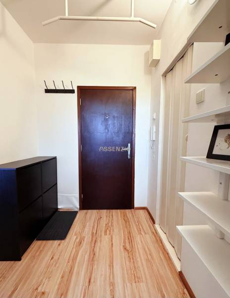 - PRENÁJOM - 1 IZBOVÝ BYT - TOPOĽČIANSKA UL. - PETRŽALKA - Vstupná chodba 1-izbového bytu s podlahou s dreveným dekorom a skrinkou.