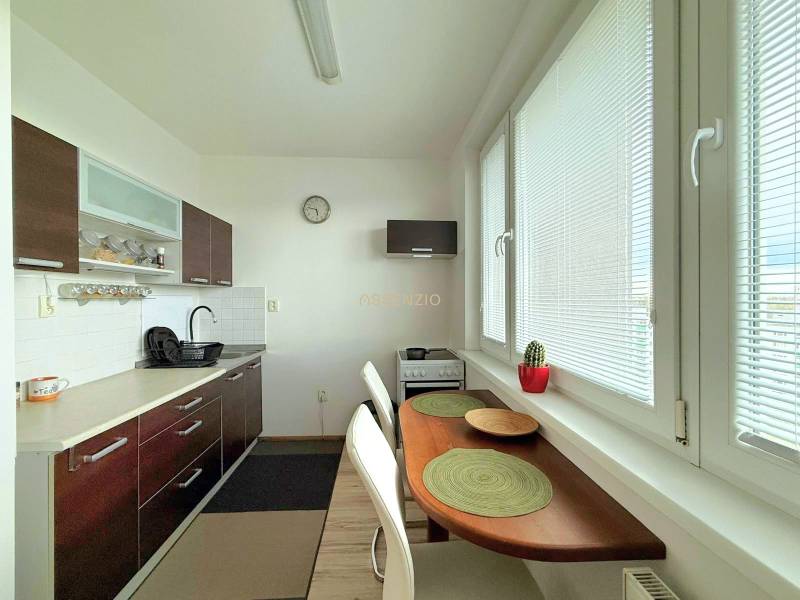 - PRENÁJOM - 1 IZBOVÝ BYT - TOPOĽČIANSKA UL. - PETRŽALKA - Kuchyňa v 1-izbovom byte so stolom, kaktusom a veľkými oknami.