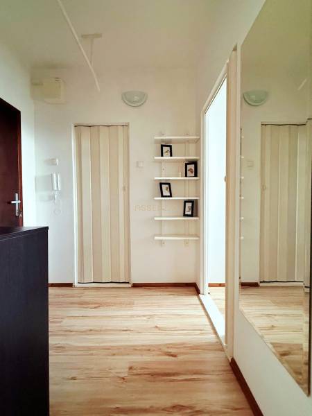 - PRENÁJOM - 1 IZBOVÝ BYT - TOPOĽČIANSKA UL. - PETRŽALKA - V 1-izbovom byte sú police s dekoráciami a podlaha s dreveným dekorom.