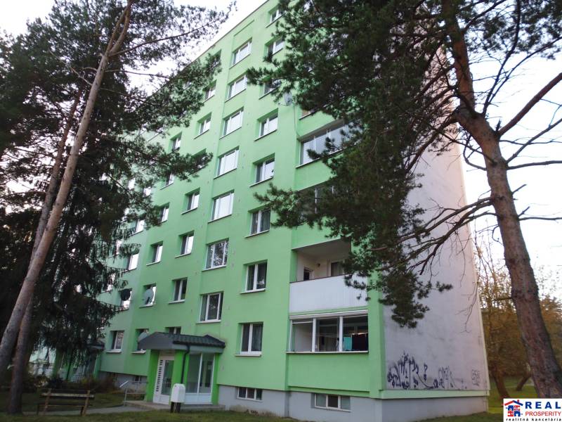 PRENÁJOM: M.NEŠPORA - 2-izbový byt, 58 m2, 7.posch. - Sídlisko III. - Bytový dom v Prešove s okolitými stromami so 7 poschodiami.