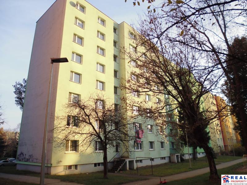 PRENÁJOM: M.NEŠPORA - 2-izbový byt, 58 m2, 7.posch. - Sídlisko III. - Bytový dom v Prešove s chodníkom a stromami.