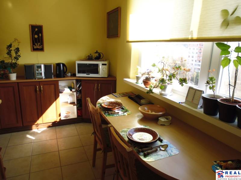 PRENÁJOM: M.NEŠPORA - 2-izbový byt, 58 m2, 7.posch. - Sídlisko III. - Svetlá kuchyňa s dreveným dekorom v 2-izbovom byte plná rastlín.