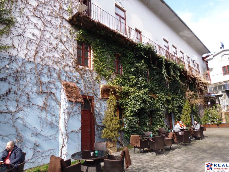 PRENÁJOM: HLAVNÁ - VOĽNÝ 2,5-izbový byt + kuchyňa, kúpeľňa, WC  - Exteriér na Hlavnej ulici v Prešove s terasou pri 3-izbovom byte porastený brečtanom.