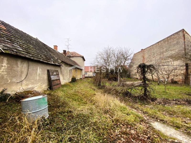 TOP PONUKA !! 3-izb. RD, INVESTÍCIA, Borský Svätý Jur - Stará budova s rozpadnutou strechou a záhrada s divokým porastom, rodinný dom v pozadí.