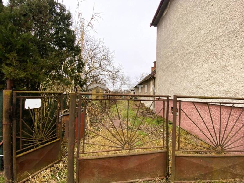 TOP PONUKA !! 3-izb. RD, INVESTÍCIA, Borský Svätý Jur - Starý plot bráni vstupe do zarasteného pozemku**.** Rodinný dom s bielou fasádou na boku.
