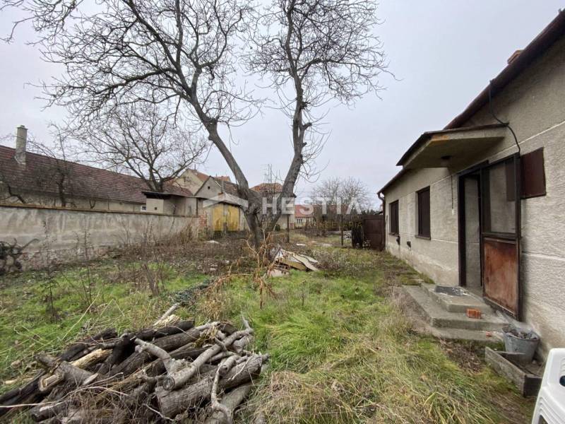 TOP PONUKA !! 3-izb. RD, INVESTÍCIA, Borský Svätý Jur - Záhrada s trávou a starými drevenými polenami, vedľa rodinného domu.