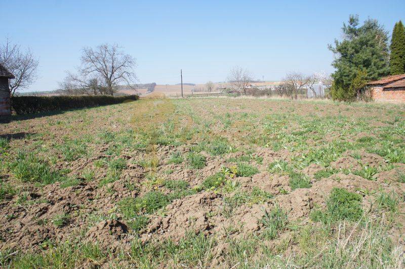 Pozemok v obci Koniarovce v slepej uličke - Pozemok so zeleňou a okolím. Ideálny pre bývanie a relaxačné aktivity.