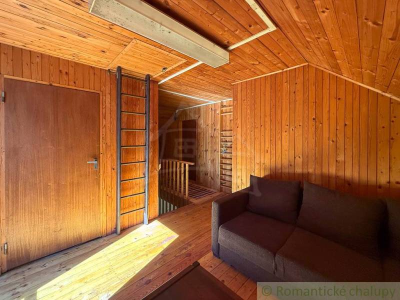 Chalupa - rodinný dom v krásnom prostredí – Moštenica, Banská Bystrica - Interiér chaty s obkladmi a podlahou s dreveným dekorom, pohovkou a rebríkom.