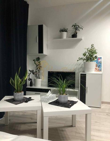 1,5 izb. byt s predzáhradkou, Podunajské Biskupice, projekt Oppidum - Obývacia izba v 2-izbovom byte so stolmi, rastlinami a podlahou s dreveným dekorom.