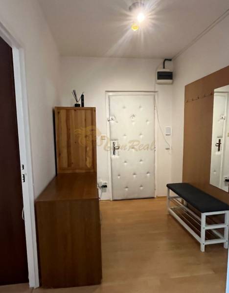 Prenájom 2-izb. bytu, Mozartova ul., Staré Mesto, pri Horskom parku - Vstupná hala v 2-izbovom byte s podlahou s dreveným dekorom a bielymi stenami.