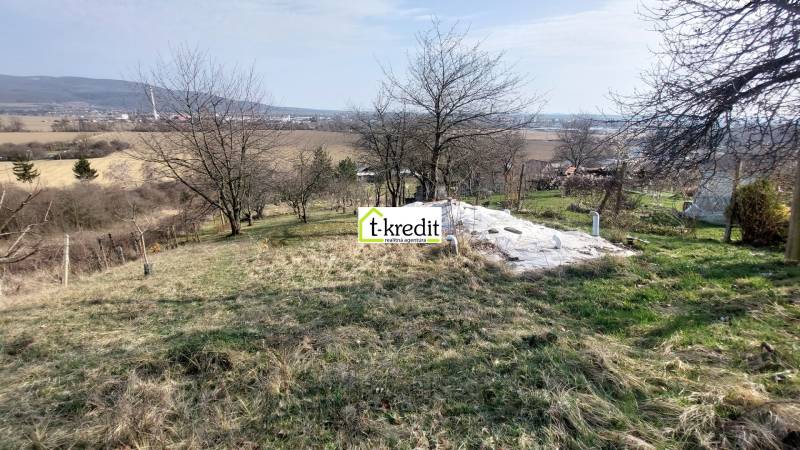 PREDAJ - VINICA - ZLATÉ MORAVCE - Rozľahlé vinice pri Zlatých Moravciach so stromami a výhľadom na polia a hory.