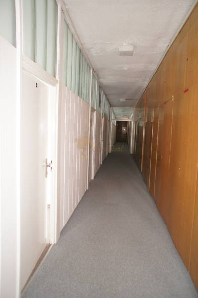 Kancelárie, Drieňová ul., Ružinov 25 m2 - Úzky chodba s kobercovým povrchom, biele a drevené steny, dvere po stranách.