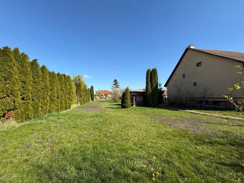 NA PREDAJ - Pozemok 500 - 550m2 - Dvorany nad Nitrou, okr. Topoľčany - Trávnaté pozemky na bývanie v Dvoranoch nad Nitrou, lemované ihličnanmi a domom.