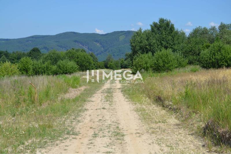 PREDAJ POZEMKU Zemplínske Hámre (2918 m2) - Príroda v Zemplínskych Hámroch pre Pozemky – bývanie, s poľnou cestou a horami.