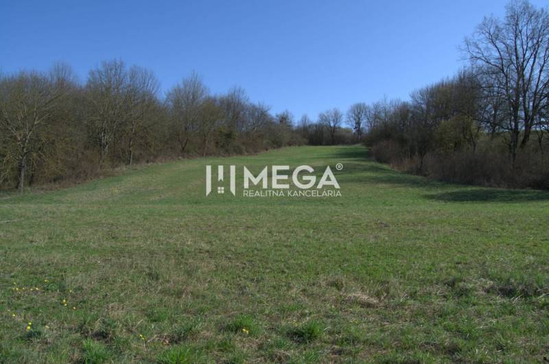 ZNÍŽENIE CENY-PREDAJ VEĽKÉHO POZEMKU (7.048 m2) v  obci Tovarnianska P - Záber na trávnaté pozemky v Tovarnianskej Polianke obklopené stromami pre bývanie.