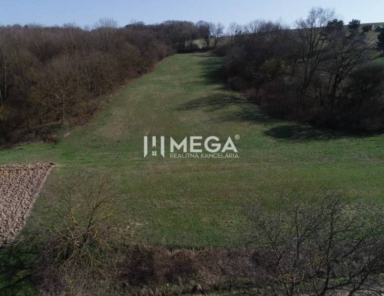 ZNÍŽENIE CENY-PREDAJ VEĽKÉHO POZEMKU (7.048 m2) v  obci Tovarnianska P - Pozemok v Tovarnianskej Polianke obklopený stromami, vhodný na bývanie.