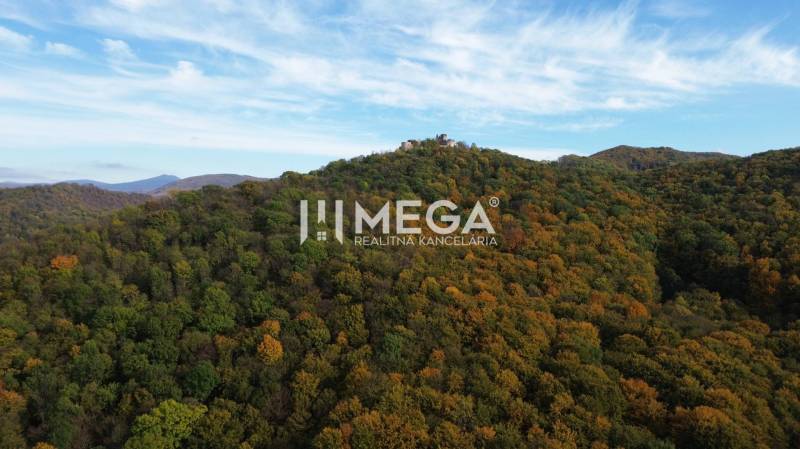 Predaj investičného pozemku v obci Jasenov - Pohľad na zalesnené vrchy s ruinou hradu v Jasenove v časti Zvláštne nehnuteľnosti.