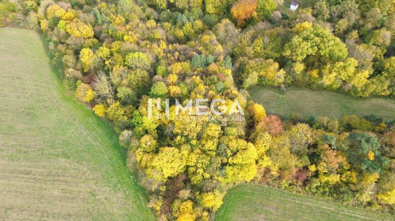 Predaj investičného pozemku v obci Jasenov - Letecký pohľad na lesný porast počas jesene v obci Jasenov, v oblasti Zvláštne nehnuteľnosti.