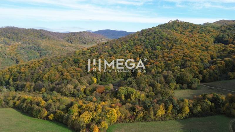 Predaj investičného pozemku v obci Jasenov - Kopcovitá krajina v Jasenove s farebnými stromami a lúkami, Zvláštne nehnuteľnosti.