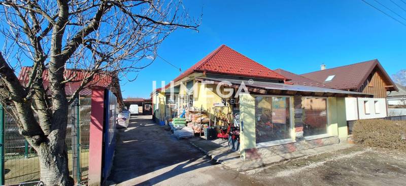 NA PREDAJ  Zabehnutá prevádzka v obci Kamenica nad Cirochou - Obchodné priestory na Osloboditeľov 193 v Kamenici nad Cirochou s exteriérom a stromom.