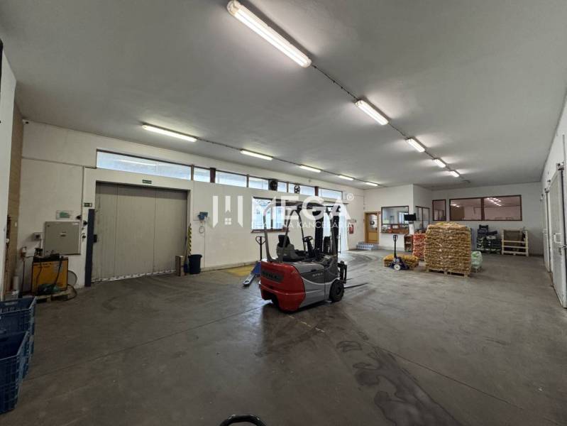 NA PREDAJ: OBJEKT VHODNÝ NA PODNIKANIE-SKLADOVANIE A SLUŽBY - Priemyselný sklad s vysokozdvižným vozíkom a paletami, časť Sklady a haly.