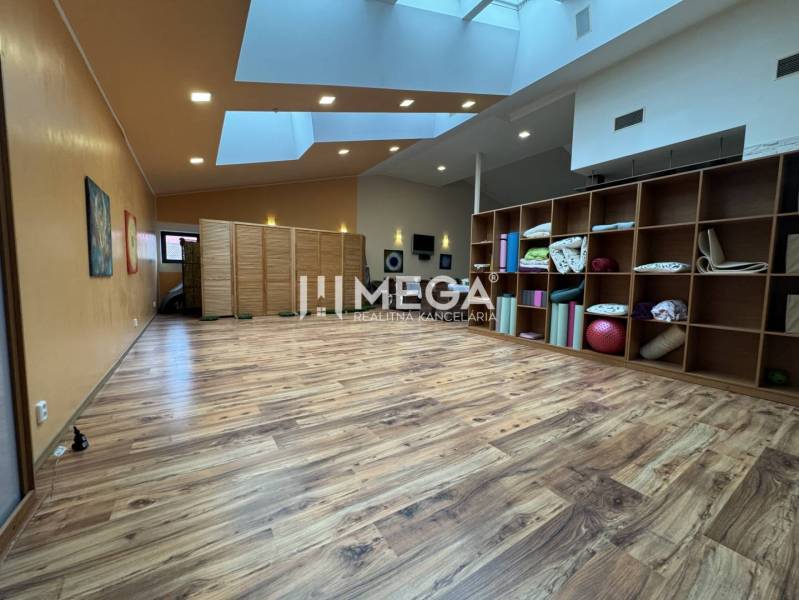 NA PREDAJ: OBJEKT VHODNÝ NA PODNIKANIE-SKLADOVANIE A SLUŽBY - Interiér s podlahou s dreveným dekorom, regály a cvičebné pomôcky v Skladoch a halách.