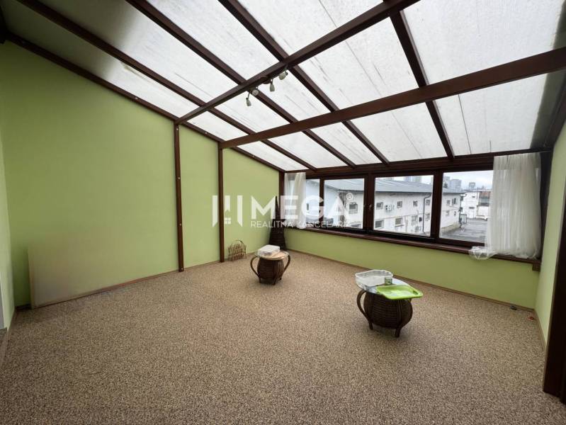 NA PREDAJ: OBJEKT VHODNÝ NA PODNIKANIE-SKLADOVANIE A SLUŽBY - Priestranná miestnosť so zelenými stenami a veľkými oknami v skladovaní a hale.