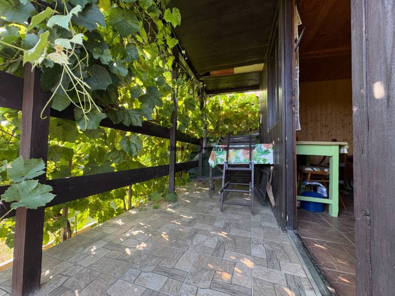 Na predaj: Ovocná záhrada v Leviciach - Terasa so záhradným nábytkom a viničom v Záhradách v Leviciach.