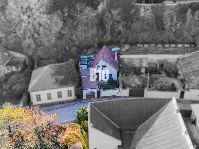 POD HRADOM bývanie alebo podnikanie - Rodinný dom v Nitre s červenou strechou a záhradou obklopenou stromami.