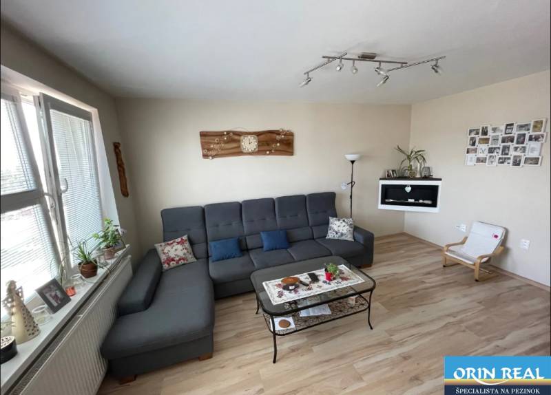 PREDAJ PRIESTRANNÉHO 3 IZB. BYTU NA MUŠKÁTE S GARÁŽOVÝM STÁTIM - Obývačka v 3-izbovom byte s pohovkou, dekoráciami a podlahou s dreveným dekorom.