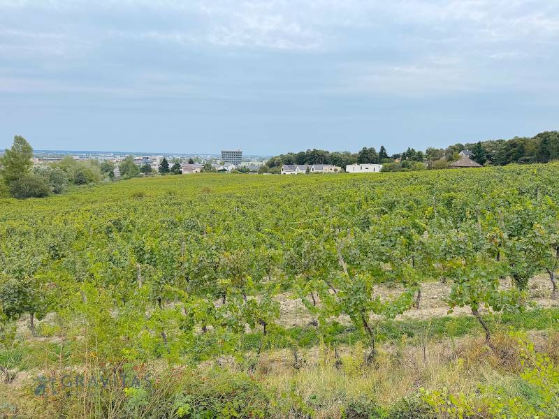 NA PREDAJ 5i rekreačný RD | Pekná cesta | Lesopark Rača  - Vinice v Bratislave - Rači pri Peknej ceste s výhľadom na okolitú krajinu.
