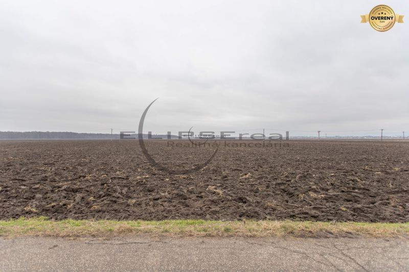 NA PREDAJ orná pôda pri ceste o výmere 48.424 m2 v obci Zohor