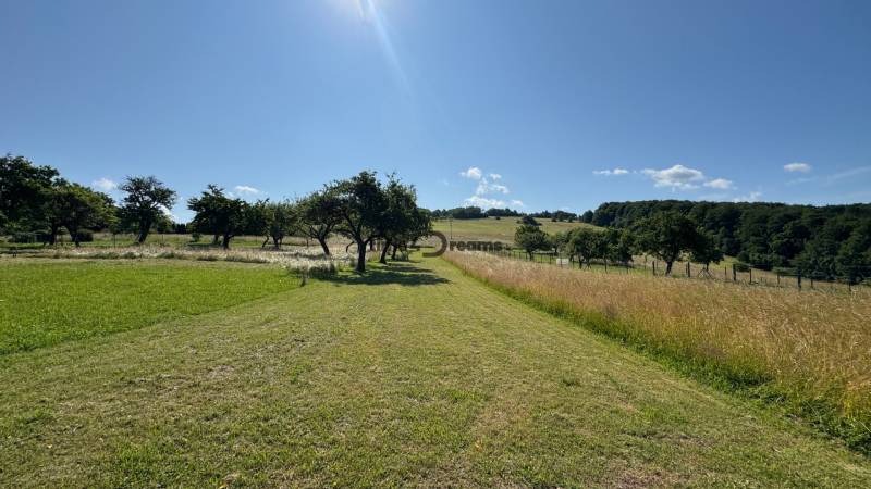 NA PREDAJ krásny pozemok pre váš nový Dom alebo Chalupu - Kopcovité pozemky na bývanie pri Novej Bani s trávou a slnečným počasím.