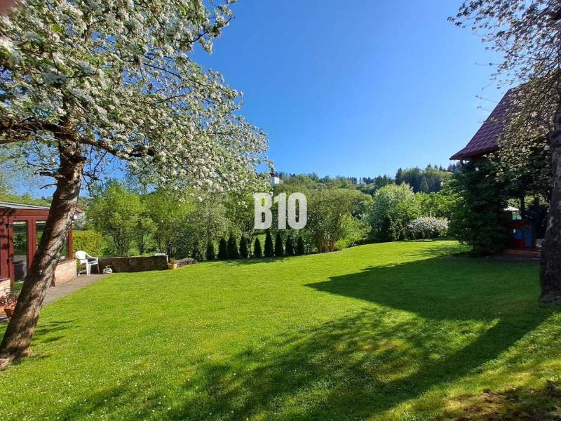 Zaujímavý rodinný dom s veľkým pozemkom, krásnou záhradou a bohatým pr - Záhrada v okolí rodinného domu v Lietave s trávnikom a ovocnými stromami.