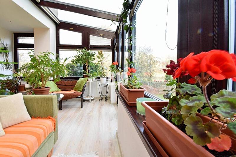 Zaujímavý rodinný dom s veľkým pozemkom, krásnou záhradou a bohatým pr - Zimná záhrada rodinného domu s množstvom rastlín a podlahou s dreveným dekorom.