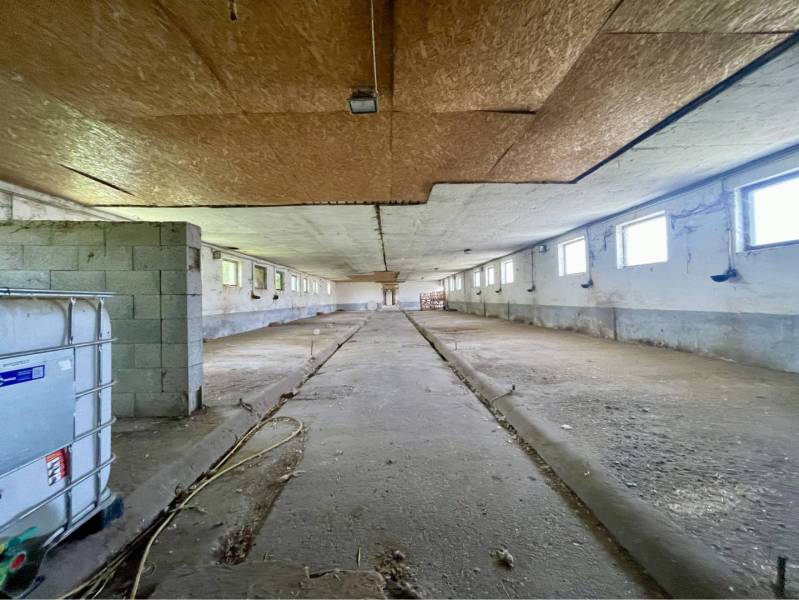 Kostolné Kračany - skladové - prevádzkové priestory na predaj za cenu  - Interiér výrobných priestorov s betónovou podlahou a radom okien.