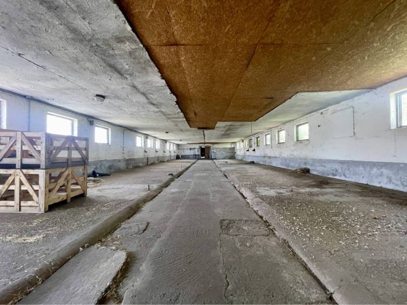 Kostolné Kračany - skladové - prevádzkové priestory na predaj za cenu  - Výrobné priestory s betónovou podlahou, drevenými prepravkami a malými oknami.