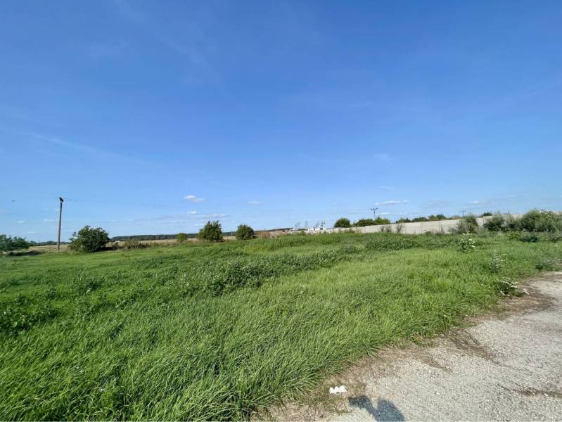 Kostolné Kračany - skladové - prevádzkové priestory na predaj za cenu  - Trávnatá plocha a neďaleké stromy v Kostolných Kračanoch na ulici Amadeho Kračany.