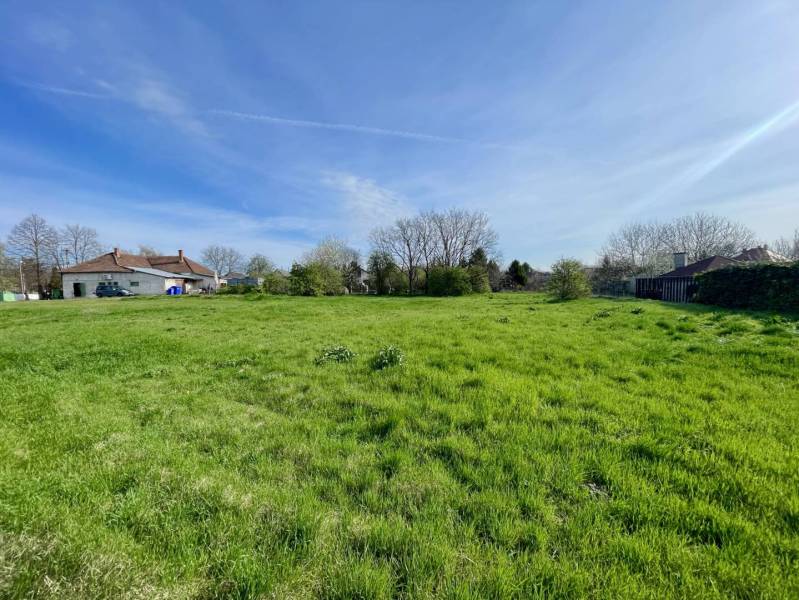 OKOČ – POZEMOK NA PREDAJ V CENTRE DEDINY - Zeleň na pozemku pre bývanie v obci Okoč za slnečného dňa.