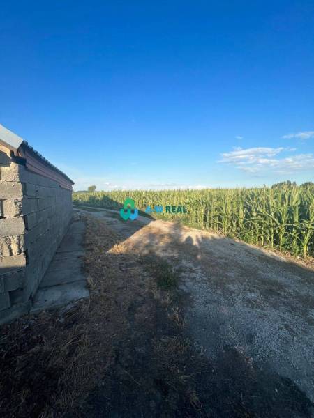 Znížená cena!  Rodinný dom s vnútorným aj vonkajším bazénom na krásne  - Na ulici neuvedene, vedľa rodinného domu vedie poľná cesta pri kukuričnom poli.