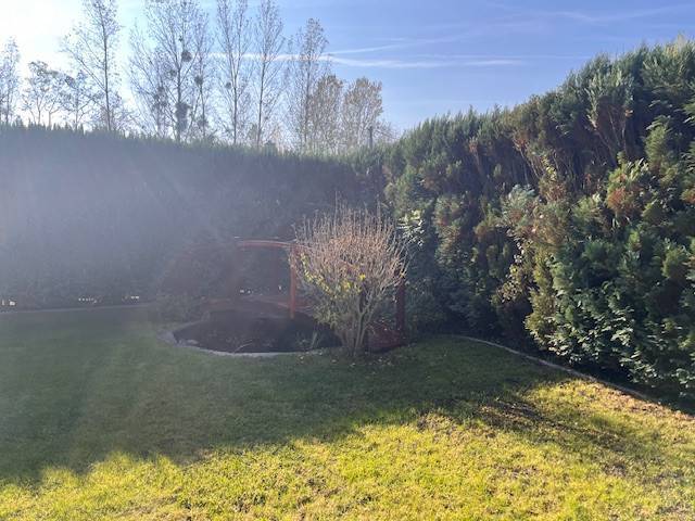 Rodinný  dom na predaj v Gabčíkove - Záhrada s trávnikom a kríkmi, tienistý kút a rodinný dom v pozadí.